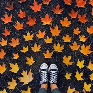 Meet your Posher, Jane